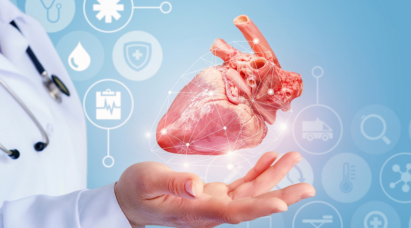 B.Sc (Cardiac Care Technology & Cardiovascular Technology)